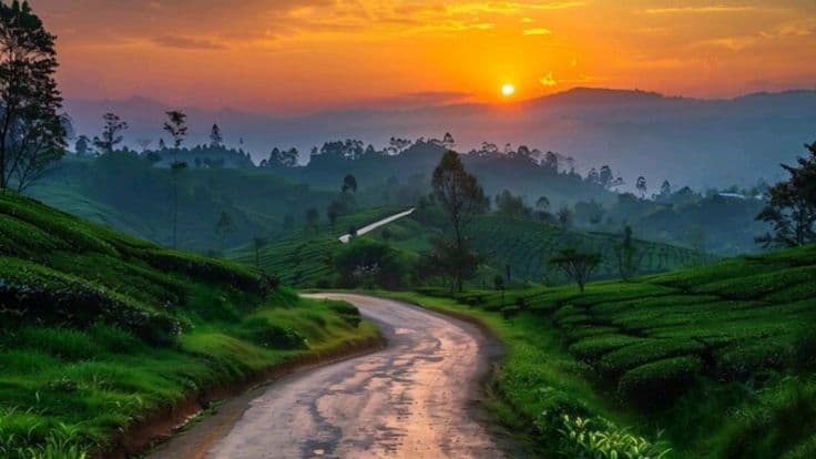 Wayanad, India